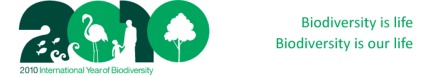 2010.jpg